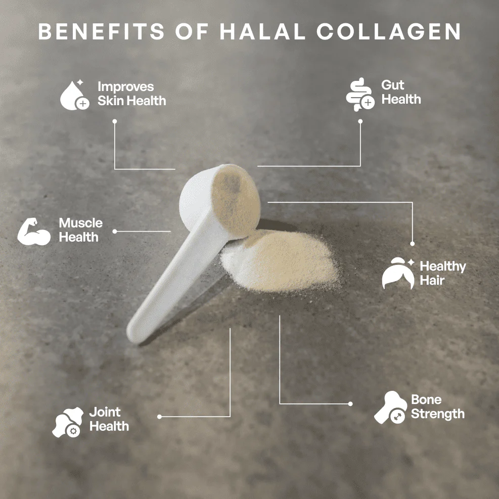 Halal Collagen Protein - Image 7